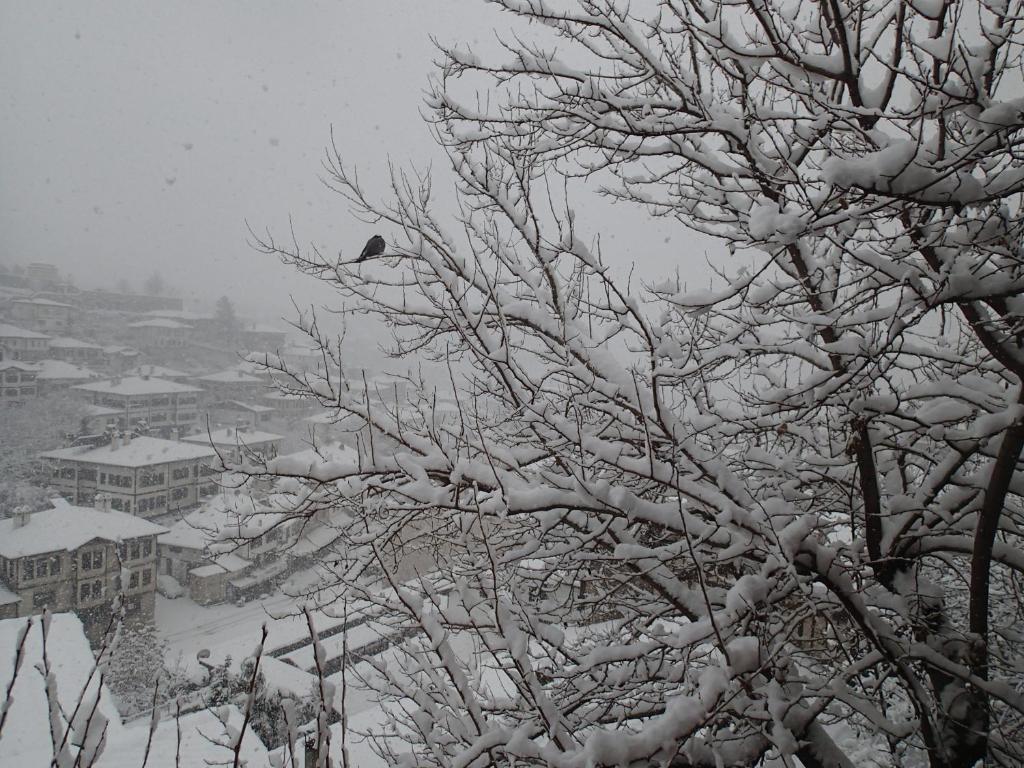 Efe Guest House Safranbolu Exterior photo